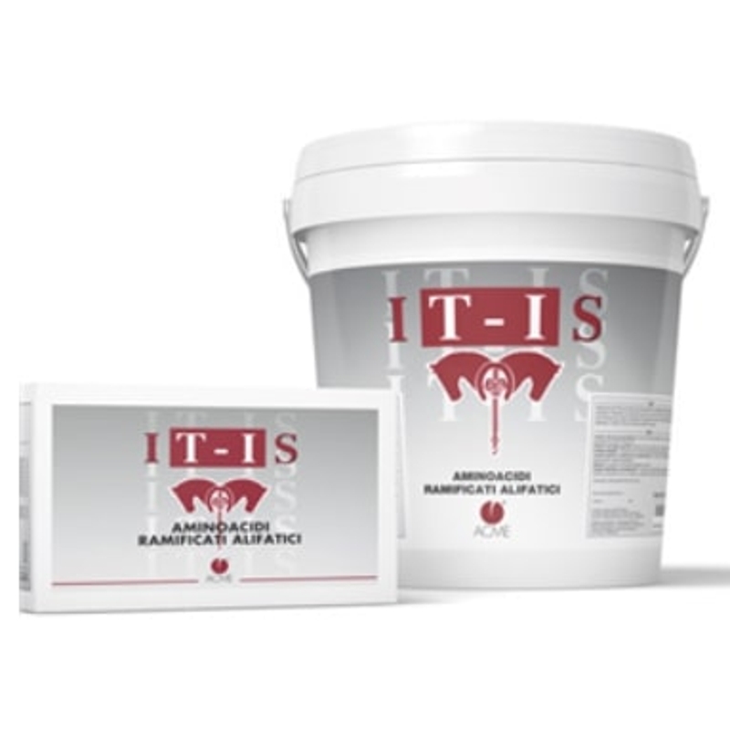 IT-IS SCATOLA 40 buste da 20 G